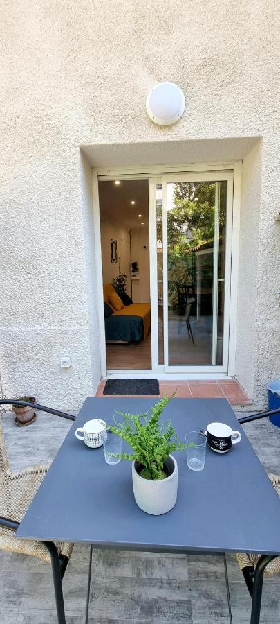 Studio Simone - Terrasse Et Jardin - Tv - Wifi Toulouse Exteriér fotografie