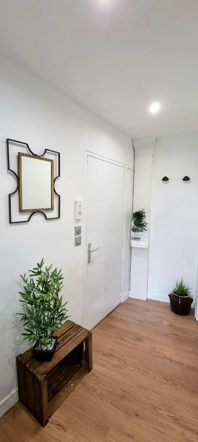 Studio Simone - Terrasse Et Jardin - Tv - Wifi Toulouse Exteriér fotografie